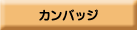 �������w�f�W�^���J�^���O