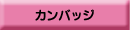 �������w�f�W�^���J�^���O