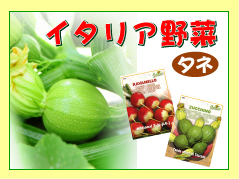 �C�^���A���